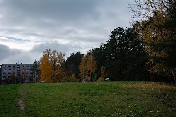 Vilnius (aukščiausia kategorija)